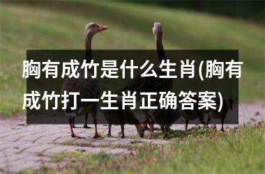 <h3>胸有成竹是什么生肖(胸有成竹打一生肖正确答案)