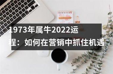 <h3>1973年属牛2025运程：如何在营销中抓住机遇