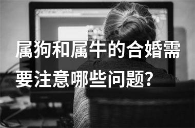 属狗和属牛的合婚需要注意哪些问题？