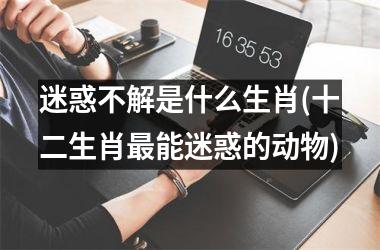 <h3>迷惑不解是什么生肖(十二生肖能迷惑的动物)