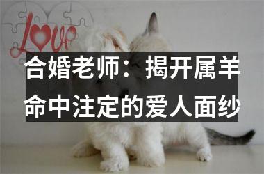 <h3>合婚老师：揭开属羊命中注定的爱人面纱