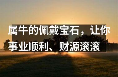 <h3>属牛的佩戴宝石，让你事业顺利、财源滚滚