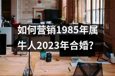 <h3>如何营销1985年属牛人2025年合婚？