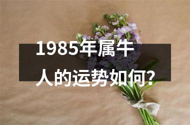 1985年属牛人的运势如何？