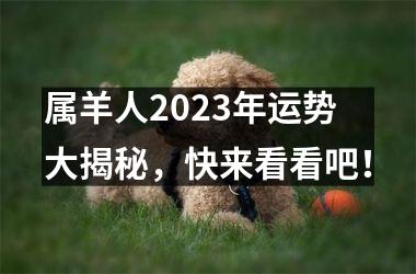 <h3>属羊人2025年运势大揭秘，快来看看吧！