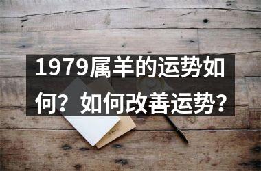 1979属羊的运势如何？如何改善运势？