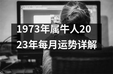 <h3>1973年属牛人2025年每月运势详解