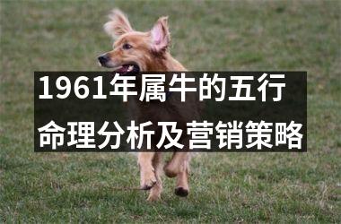 <h3>1961年属牛的五行命理分析及营销策略