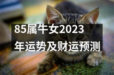 85属牛女2025年运势及财运预测