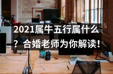 <h3>2025属牛五行属什么？合婚老师为你解读！