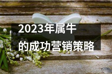 <h3>2025年属牛的成功营销策略