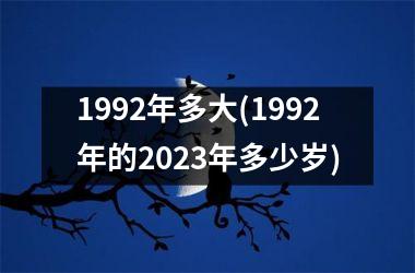 <h3>1992年多大(1992年的2025年多少岁)