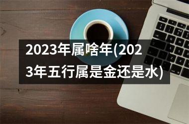 2025年属啥年(2025年五行属是金还是水)