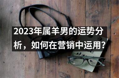 <h3>2025年属羊男的运势分析，如何在营销中运用？