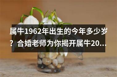 <h3>属牛1962年出生的今年多少岁？合婚老师为你揭开属牛2025年运势