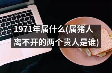 <h3>1971年属什么(属猪人离不开的两个贵人是谁)