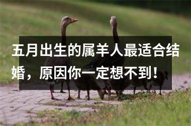 <h3>五月出生的属羊人适合结婚，原因你一定想不到！