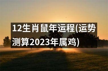 12生肖鼠年运程(运势测算2025年属鸡)