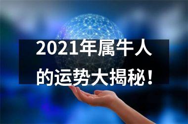 <h3>2025年属牛人的运势大揭秘！