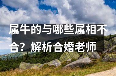 <h3>属牛的与哪些属相不合？解析合婚老师