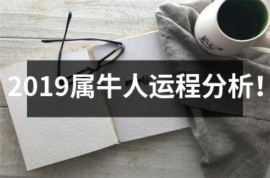 <h3>2019属牛人运程分析！