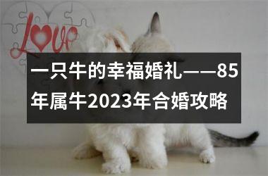 <h3>一只牛的幸福婚礼——85年属牛2025年合婚攻略