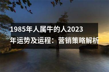 <h3>1985年人属牛的人2025年运势及运程：营销策略解析