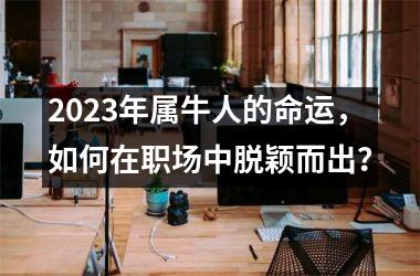 <h3>2025年属牛人的命运，如何在职场中脱颖而出？