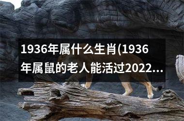 1936年属什么生肖(1936年属鼠的老人能活过2025年吗)