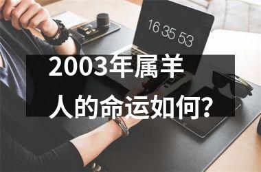 <h3>2003年属羊人的命运如何？