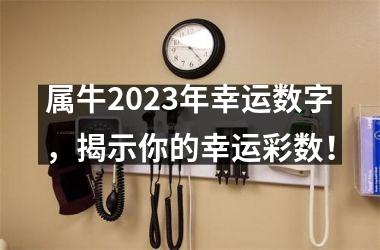 <h3>属牛2025年幸运数字，揭示你的幸运彩数！