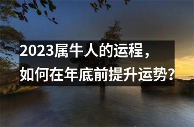 <h3>2025属牛人的运程，如何在年底前提升运势？