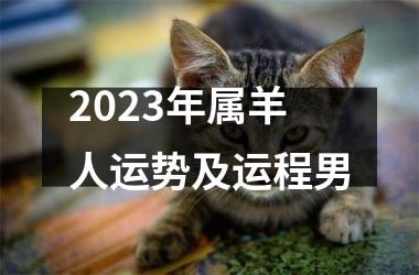 <h3>2025年属羊人运势及运程男