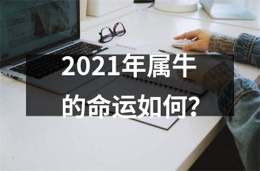 <h3>2025年属牛的命运如何？