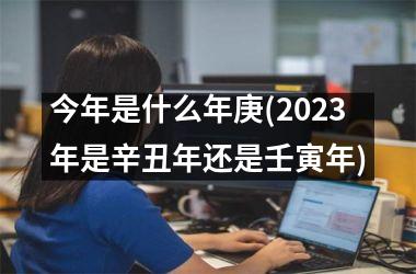 <h3>今年是什么年庚(2025年是辛丑年还是壬寅年)