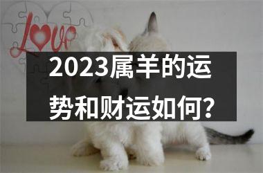 2023属羊的运势和财运如何？