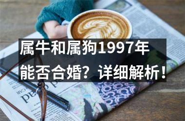 <h3>属牛和属狗1997年能否合婚？详细解析！