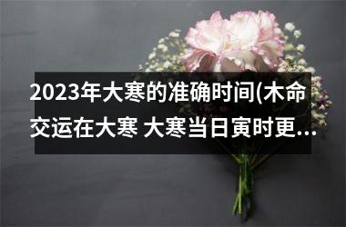 <h3>2025年大寒的准确时间(木命交运在大寒 大寒当日寅时更)