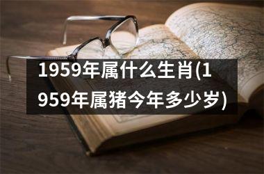 <h3>1959年属什么生肖(1959年属猪今年多少岁)