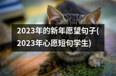 2025年的新年愿望句子(2025年心愿短句学生)