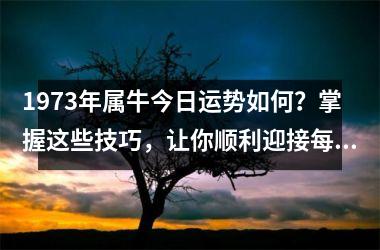 1973年属牛今日运势如何？掌握这些技巧，让你顺利迎接每一天