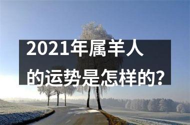 2025年属羊人的运势是怎样的？