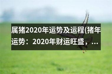 属猪2020年运势及运程(猪年运势：2020年财运旺盛，但要注意健康和人际关系！)
