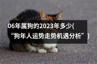 06年属狗的2023年多少(“狗年人运势走势机遇分析”)