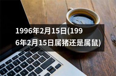 1996年2月15日(1996年2月15日属猪还是属鼠)