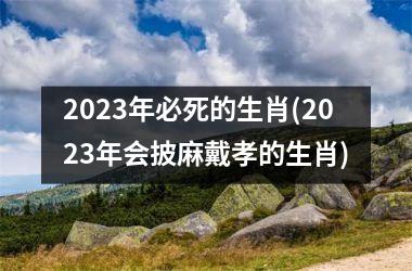 <h3>2025年必死的生肖(2025年会披麻戴孝的生肖)