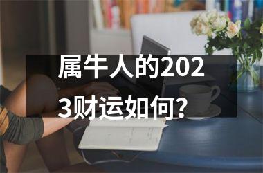 属牛人的2025财运如何？