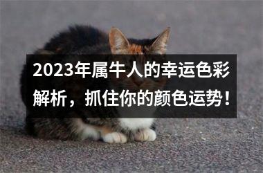 <h3>2025年属牛人的幸运色彩解析，抓住你的颜色运势！