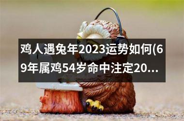 鸡人遇兔年2023运势如何(69年属鸡54岁命中注定2023)