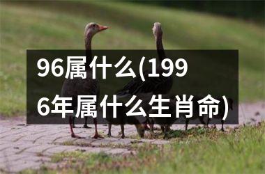 96属什么(1996年属什么生肖命)